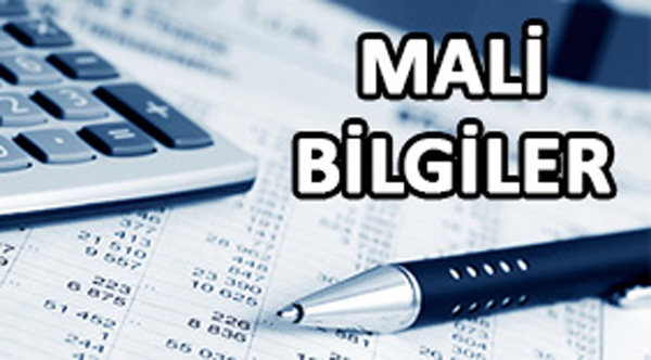 eminol-grup-mali-bilgiler